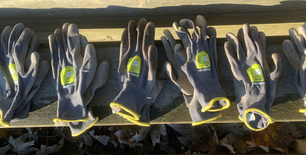 Gloves lined up ready for kids to get their hands dirty